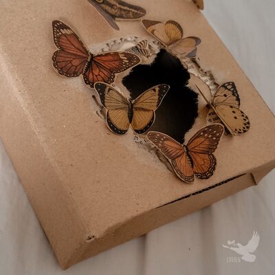 جعبه پروانه کوچک 